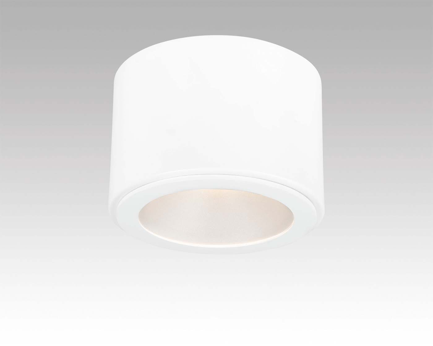 Zurf LED 1100 830 TD  in the group Categories / Downlight/Spotlight at Nokalux (289209)