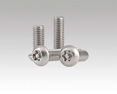 Security screws M5x25 in the group Products / Accessories at Nokalux (741002)